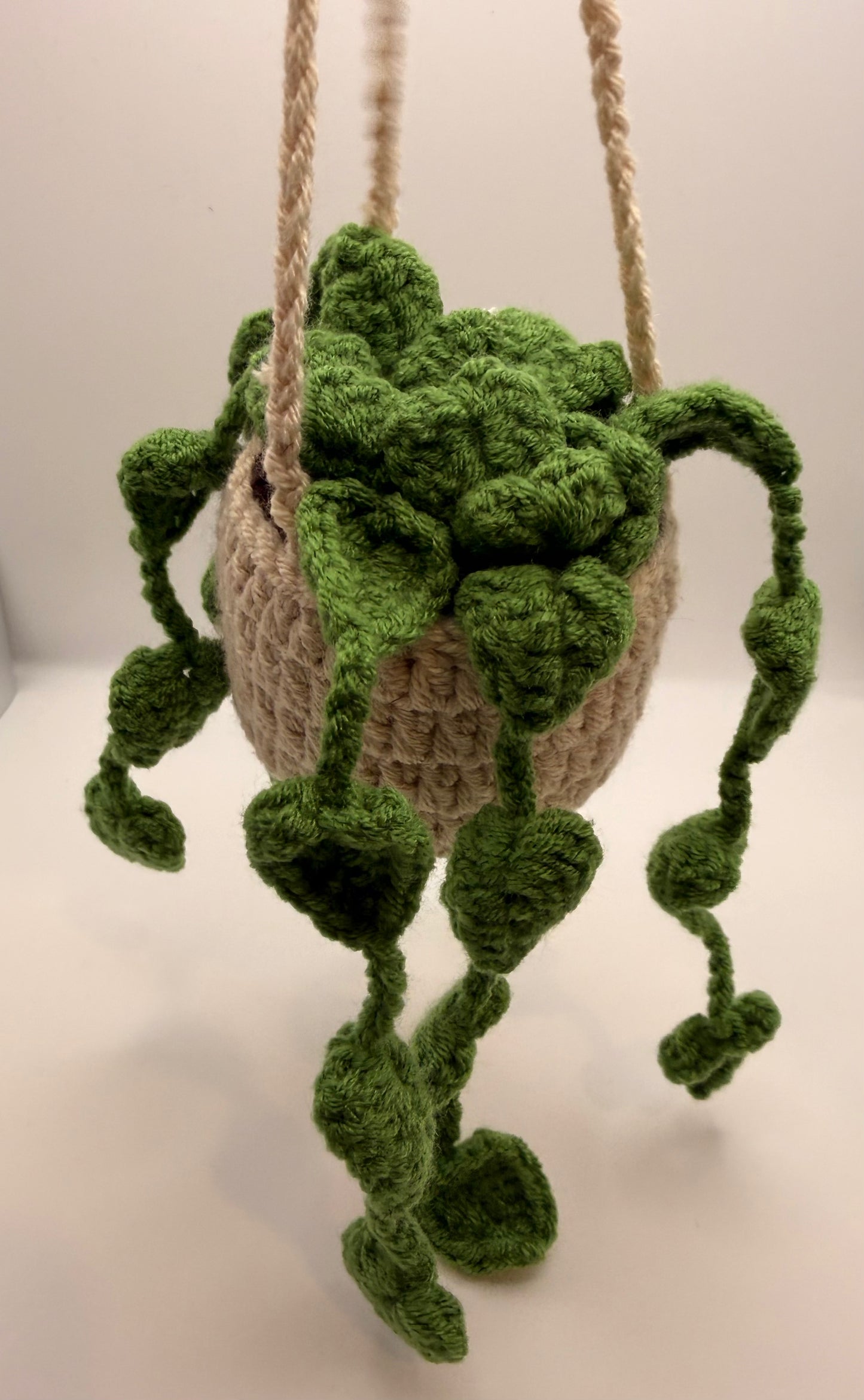 Mini Plant in 1.5in Hanging